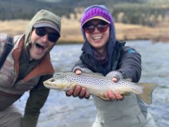 GALLATINRIVERBROWNTROUT2