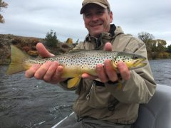 MADISONRIVERBROWNTROUT3